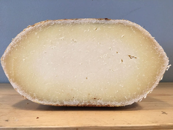 Berkswell Ewe